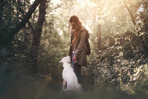 Jonge Schattige Gelukkig Labrador Retriever Hond Pup Buiten Natuur — Stockfoto
