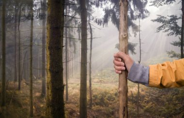 Tutun bir el tarafından olduğunu hiking sopayla ormandaki hiking