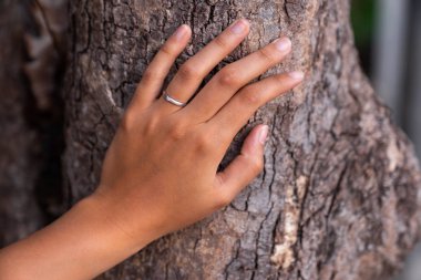 El engagemnet halka sonra evlilik teklifleri