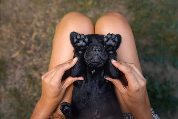 Jonge Schattig Zwarte Labrador Retriever Hond Pup Huisdier Slapen Vrouw — Stockfoto