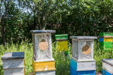 İHA 'lar bal arısı suni döllemesini uçurur. İHA Yetiştirme. Bal arısı döllenmesi, İHA 'lar için uçan kafes