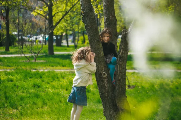 Dos Hermanas Juegan Escondite Árbol Niña Trepó Árbol Alto Juegos — Foto de Stock