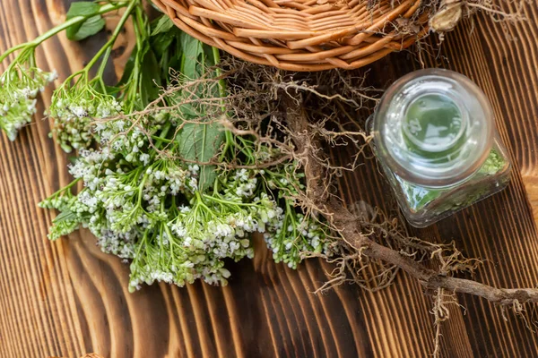 Kurumuş rizom ve kediotu tıbbı kökleri. Şeffaf kavanoz ve taze kediotu çiçekleri. Doğal bitkisel ilaçların hazırlanması için gerekli malzemeler.