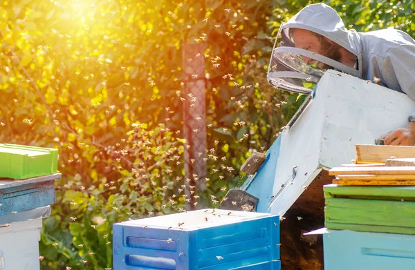 Μελισσοκόμος Δουλεύει Μέλισσες Και Μελίσσια Στο Μελισσοκομείο Μέλισσες Κηρήθρα Σκελετοί — Φωτογραφία Αρχείου