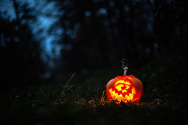 Sonbahar ormanlarında karanlık zeminde parlayan ürkütücü bir yüzle oyulmuş Cadılar Bayramı balkabağı..