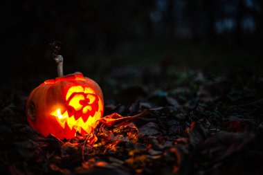Karanlık bir ormandaki ağaç kütüğüne parlayan bir yüzle oyulmuş Cadılar Bayramı balkabağı.