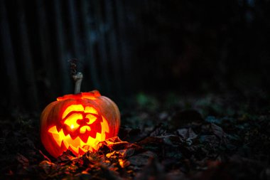 Karanlık bir ormandaki ağaç kütüğüne parlayan bir yüzle oyulmuş Cadılar Bayramı balkabağı.