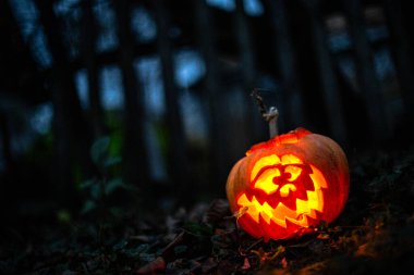 Sonbahar ormanlarında karanlık zeminde parlayan ürkütücü bir yüzle oyulmuş Cadılar Bayramı balkabağı..