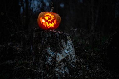 Karanlık bir ormanda oyulmuş, ürkütücü, Cadılar Bayramı balkabağı.
