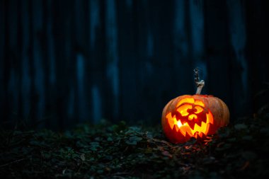 Karanlık bir ormanda oyulmuş Cadılar Bayramı balkabağı suratı.