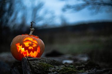 Karanlık bir ormanda oyulmuş Cadılar Bayramı balkabağı suratı.