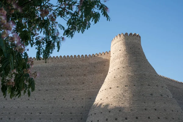 Murallas Históricas Fortaleza Del Arca Bujará Asia Central — Foto de Stock