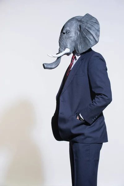 Homme Costume Masque Éléphant Sur Fond Clair Contexte Conceptuel Entreprise — Photo