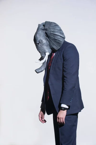 Homme Costume Masque Éléphant Sur Fond Clair Contexte Conceptuel Entreprise — Photo