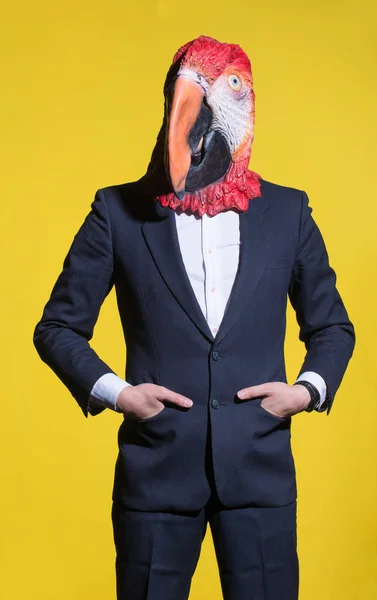Homme Costume Masque Perroquet Contexte Conceptuel Entreprise — Photo