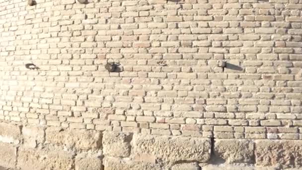 Murs Historiques Forteresse Arche Boukhara Asie Centrale — Video