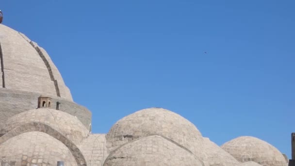 Старий Мурована Будівля Вежі Старовинні Будівлі Середньовічних Азії Бухара Узбекистан — стокове відео