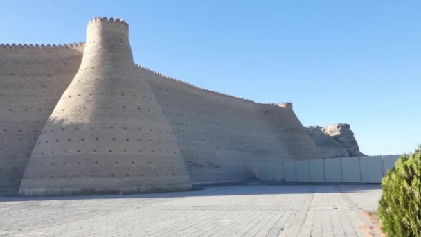 Історичні Стіни Ковчег Фортеця Бухара Центральної Азії — стокове відео