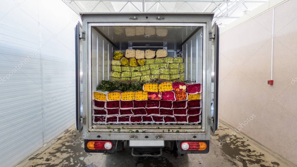 Opened back doors of the truck loaded with rose flowers. Loading flowers in stock for delivery.