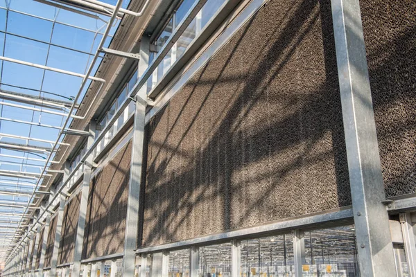 Glasdach Mit Filteranlage Einem Modernen Gewächshaus — Stockfoto