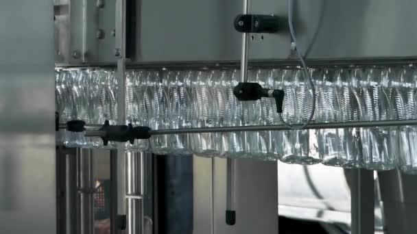 Lege Plastic Flessen Transportband Apparatuur Zuivel Fabriek — Stockvideo