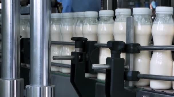 传送带上的塑料奶瓶 乳品厂的设备 — 图库视频影像