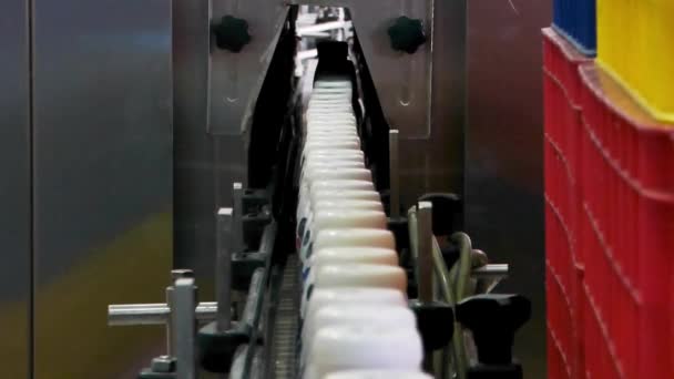 Plastic Melkflessen Transportband Apparatuur Zuivel Fabriek — Stockvideo