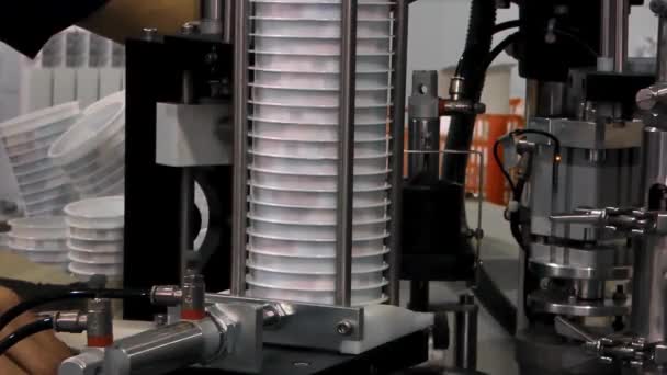Produção Engarrafamento Iogurte Copos Plástico Equipamento Fábrica Lacticínios — Vídeo de Stock