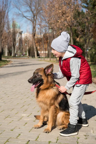 Garçon marche avec un animal de compagnie — Photo