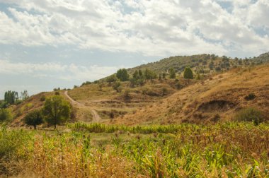 ovalı dağ manzarası