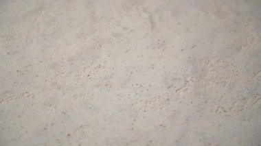 granit etkisi ile sıva doku arka plan. sanatsal arka plan el yapımı. dairesel arka plan rotasyonu