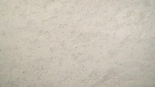 花崗岩の効果を持つスタッコテクスチャの背景 芸術的な背景手作り ズーム効果 — ストック動画