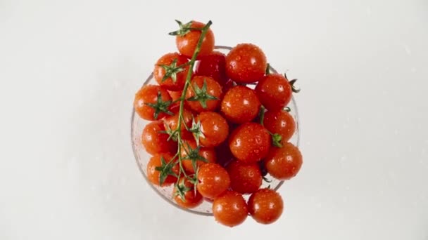 Tomatoes Water Drops Stems White Background Circular Rotation Top View — Stock Video