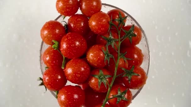 水滴と茎を持つトマトは 白い背景 円形の回転 トップビュー クローズ アップ — ストック動画