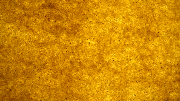 Bright Background Golden Sand Granules Backlit Background Offset Effect — Stock Video