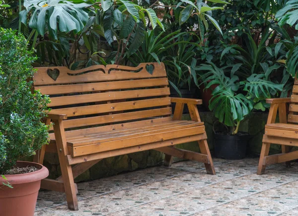 Bench in the greenhouse — Stock Photo, Image