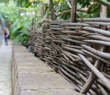 tropikal dekoratif portakal