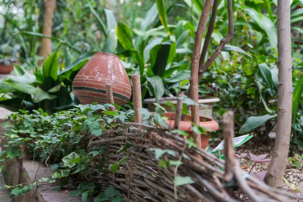 Tropical decorative orangery — Stock Photo, Image