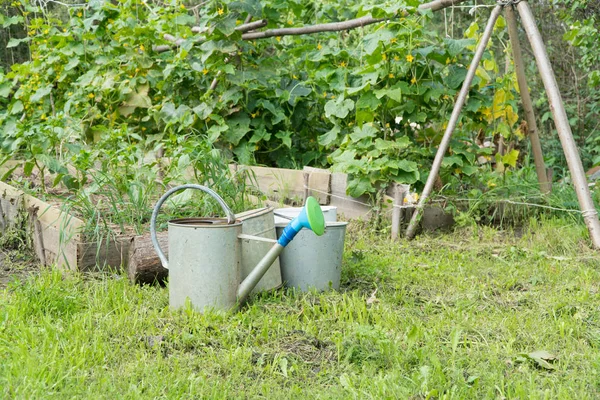 Garten mit Gießkanne — Stockfoto