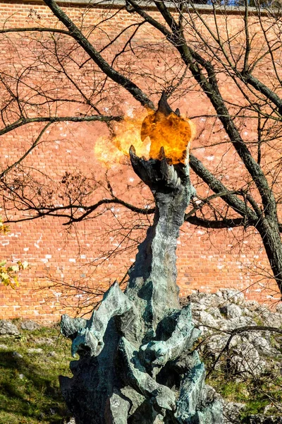 Heykel Cracow Wawel ejderha
