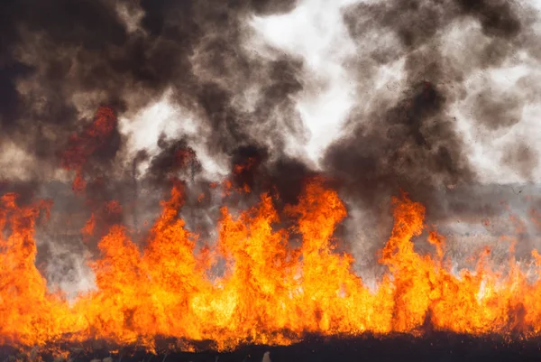 Raging Flame Fire Burn Fields Forests Black Thick Acrid Smoke — Stock Photo, Image