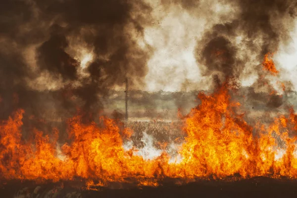 Yangın yanık alanlar, ormanlar ve siyah kalın buruk duman azgın Alevi.