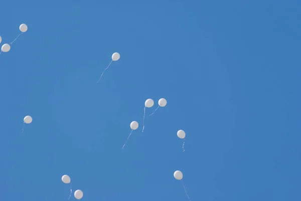 White balloons in the blue clear sky.