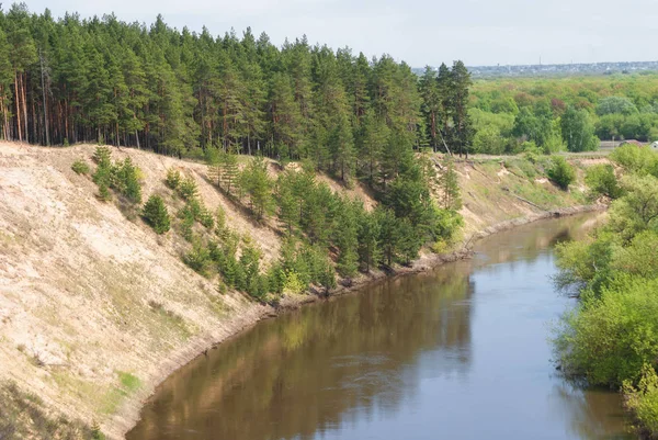 Dik kumlu yamaçta ile Rus nehir orman vadisinde bir ılık bahar günü
