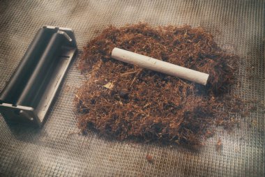 A rolled cigarette against the backdrop of tobacco. clipart