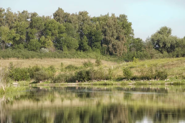 Pitoresk Vahşi Bir Orman Gölün Kıyısında — Stok fotoğraf