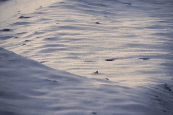 Trama Della Neve Dei Cumuli Neve Febbraio Primo Piano — Foto Stock