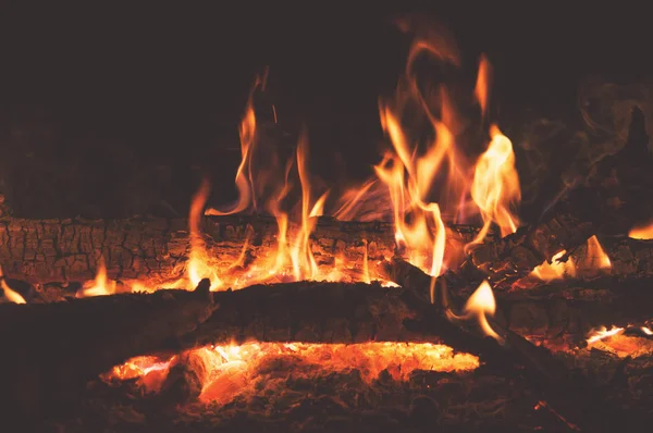 Şenlik ateşi kamp hiking Rusya'nın yoğun ormanlarda sparks yakın çekim ile akşam.