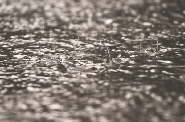 Gocce Pioggia Cadono Una Grande Pozzanghera Sull Asfalto Urbano Della — Foto Stock