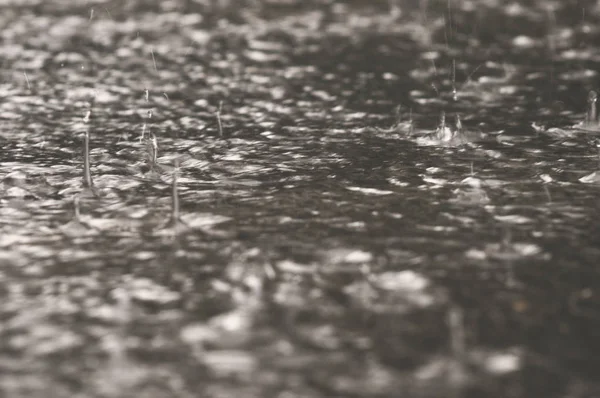 Gocce Pioggia Cadono Una Grande Pozzanghera Sull Asfalto Urbano Della — Foto Stock